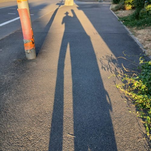 photo de thomas rapin